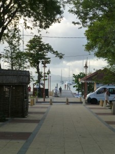 P1030541